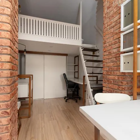 Appartement Loft With Mezzanine