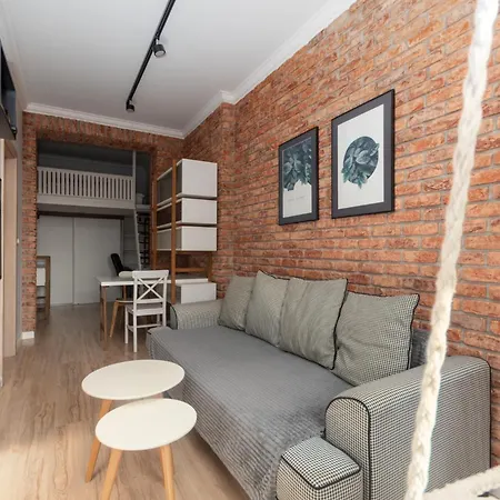 Loft With Mezzanine Appartement
